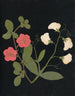 Album de fleurs en papier découpé Pl19 - Ellen W. — visning af kunstværket