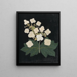 Ellen W - Album of cutpaper flowers Pl22.webp