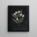 papirklippet blomsteralbum Pl25 - Ellen W. — indrammet kunstværk på væggen