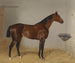 Saint Galmier - Emil Adam — visning af kunstværket