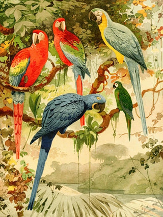 Emil August Gldi - Arras.webp