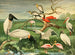 Cigognes à bec de cuillère - Emil August Göldi — visning af kunstværket