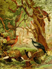 Cujubi Jacs Aracus Jacamins - Emil August Göldi — visning af kunstværket