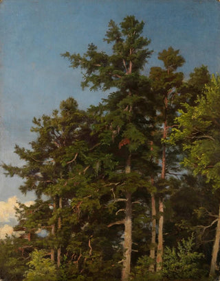 Emil Lugo - Eichenwipfel.webp