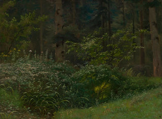 Emil Lugo - Waldwiese mit Stauden und Struchern.webp
