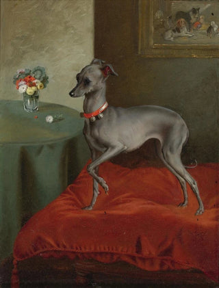 English School - An Italian Greyhound on a Red Cushion.webp