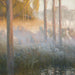 Esprits nocturnes - Gaston La Touche — visning af kunstværket