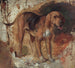 Studie af en blodhund - William Holman Hunt — visning af kunstværket
