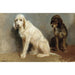 Reproduktion af maleriet Studie af to hunde - Rosa Bonheur