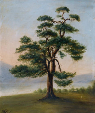 F Bindon Burton - Cedar Tree.webp