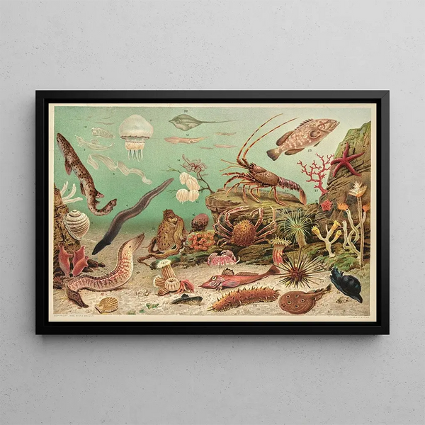 F E Wright - Marine life.webp