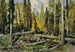 Forêt de Bohême - Ferdinand Engelmüller — visning af kunstværket