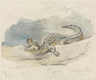 Ferdinand Keller - Studie eines Alligators.webp