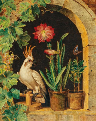 Ferdinand Kss - A Cockatoo at the Window with Blooming Cactus and Butterfly.webp