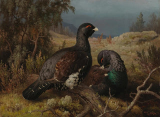 store rypehaner - Ferdinand von Wright — visning af kunstværket
