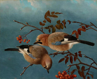 Geais - Ferdinand von Wright — visning af kunstværket