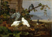Pigeons - Ferdinand von Wright — visning af kunstværket