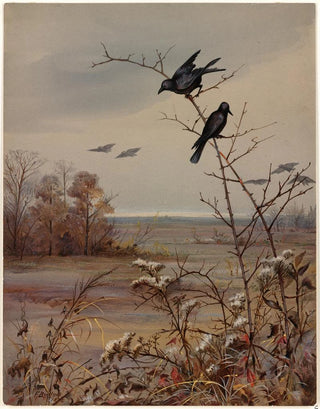 Fidelia Bridges - November.webp