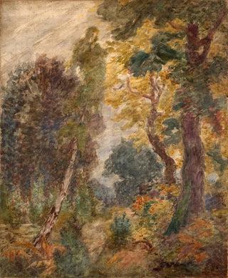 Flix Bracquemond - Landscape.webp
