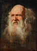 Studie af hovedet af en mand - Peter Paul Rubens skole — visning af kunstværket