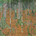 Birkeskov - Gustav Klimt — visning af kunstværket
