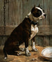 Terrier siddende - Frances Townsend — visning af kunstværket