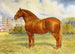 Suffolk Sire Prince Wedgewood - Frank Babbage — visning af kunstværket