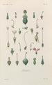Traité de botanique générale Pl069 - François Hérincq — visning af kunstværket