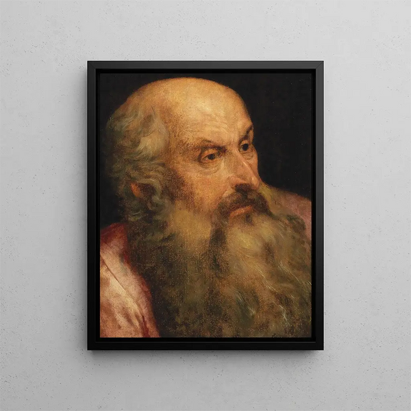 Studie af en skægget mand - Frans Floris — indrammet kunstværk på væggen