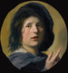En tronie, studie af hovedet og højre hånd af en dreng - Frans Hals — visning af kunstværket