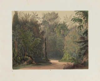 Franz Antoine - Der Wintergarten in der kaiserlichen kniglichen Hofburg zu Wien Pl03.webp