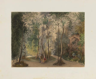 Franz Antoine - Der Wintergarten in der kaiserlichen kniglichen Hofburg zu Wien Pl04.webp