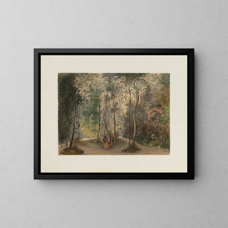 Franz Antoine - Der Wintergarten in der kaiserlichen kniglichen Hofburg zu Wien Pl04.webp