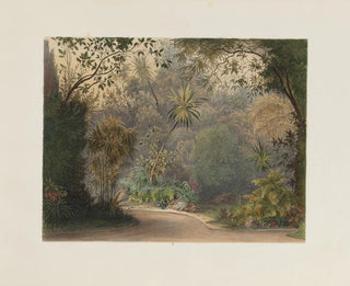Franz Antoine - Der Wintergarten in der kaiserlichen kniglichen Hofburg zu Wien Pl05.webp