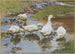 Canards au bord de l'eau - Franz Grösse — visning af kunstværket