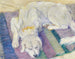 Hund liggende, hundeportræt - Franz Marc — visning af kunstværket