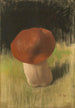 Le champignon - Franz von Stuck — visning af kunstværket