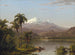 Palmiers Tamaca - Frederic Edwin Church — visning af kunstværket