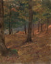 Scène boisée - Frederic Edwin Church — visning af kunstværket