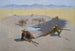 Lutte pour le point d'eau - Frederic Remington — visning af kunstværket
