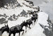 La caravane de mulets - Frederic Remington — visning af kunstværket