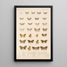 Insecta Lepidoptera Heterocera Pl 055 - Frederick DuCane Godman — indrammet kunstværk på væggen