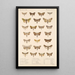 Insecta Lepidoptera Heterocera Pl 090 - Frederick DuCane Godman — indrammet kunstværk på væggen