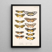 Insecta Lepidoptera Rhopalocera Pl 001 - Frederick DuCane Godman — indrammet kunstværk på væggen