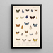 Insecta Lepidoptera Rhopalocera Pl 045 - Frederick DuCane Godman — indrammet kunstværk på væggen