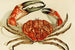 Krabber IV - Frederick McCoy — visning af kunstværket