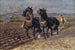 to sorte heste ved ploven - Friedrich Eckenfelder — visning af kunstværket