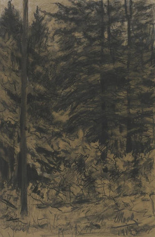 Friedrich Mook - Fir trees.webp