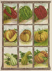 Citronmåleriet - Genesee Valley Lithograph & Co.. — visning af kunstværket