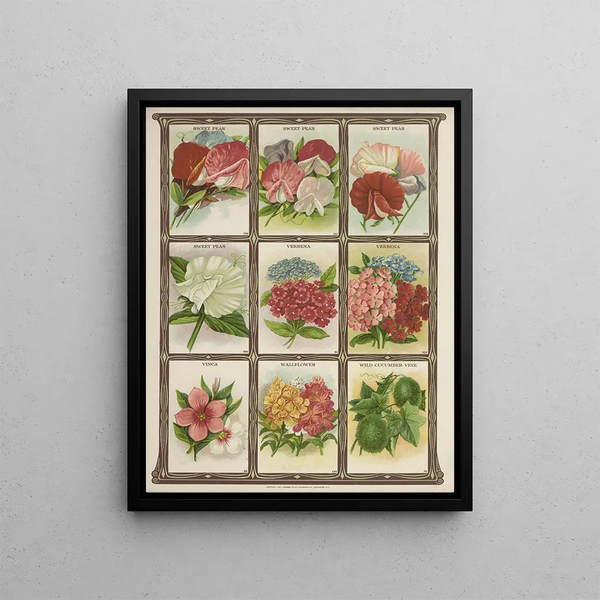 Genesee Valley Lithograph Co - Sweet Peas Verbena Vinca Wallflower.webp